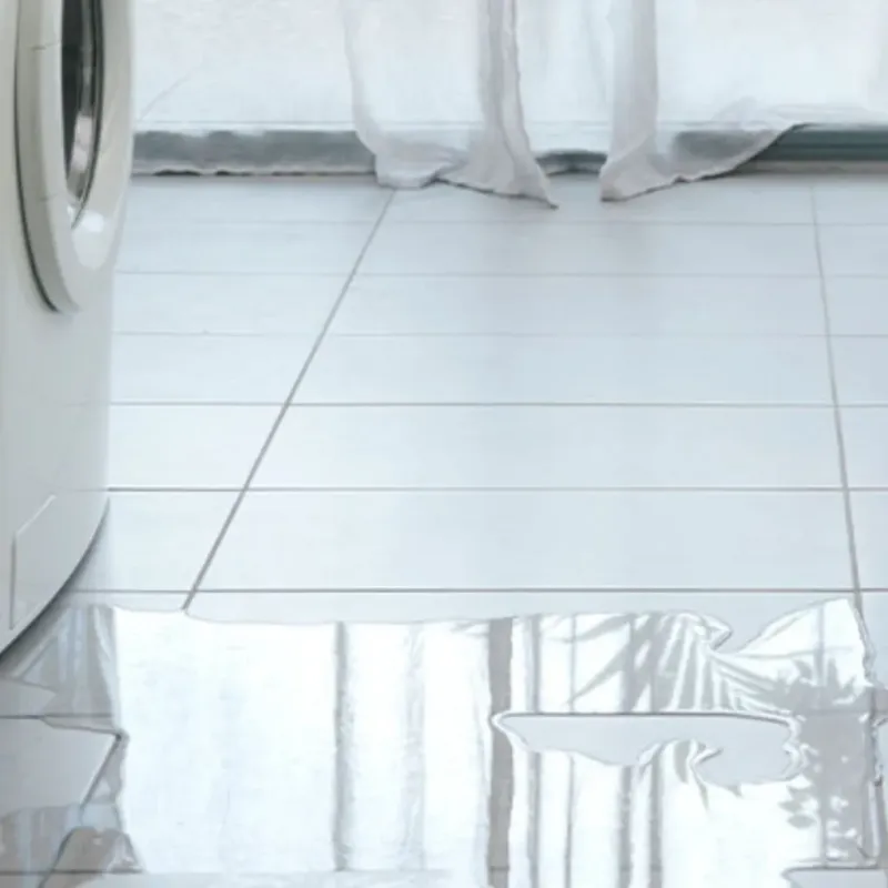Appliance Leak Cleanup in Hoopeston, IL
