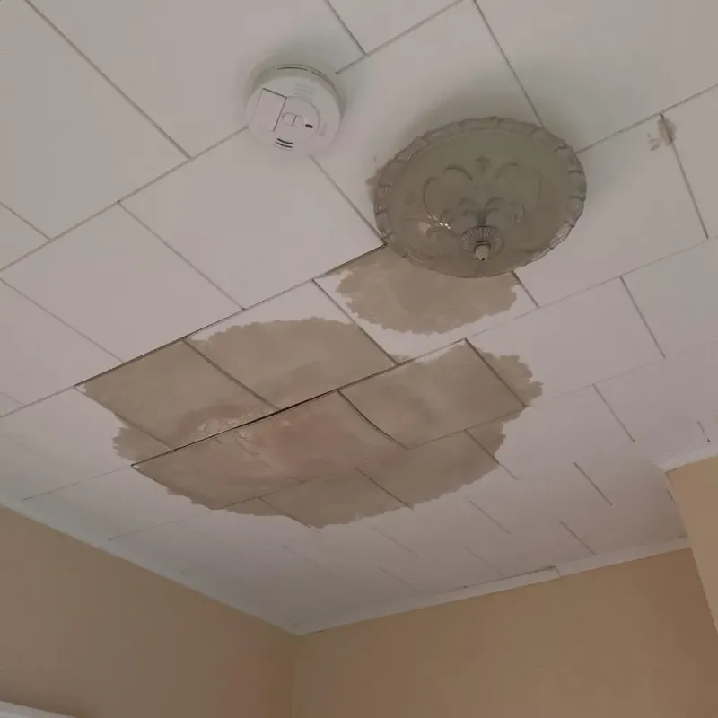 Ceiling Water Damage Repair in Hoopeston, IL