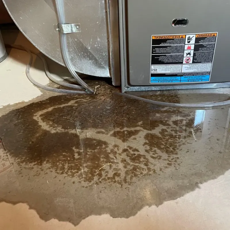 Pipe Burst and Leak Restoration in Hoopeston, IL