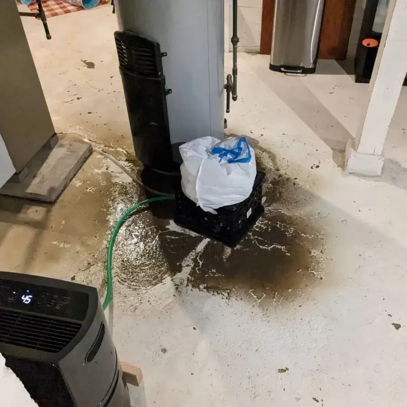 Sewage Backup Cleanup Service in Hoopeston, IL